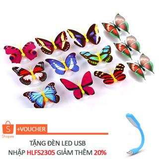 BỘ 12 ĐÈN LED CON BƯỚM PHÁT QUANG DÁN TƯỜNG (TẶNG 1 ĐÈN LED USB)( B229)