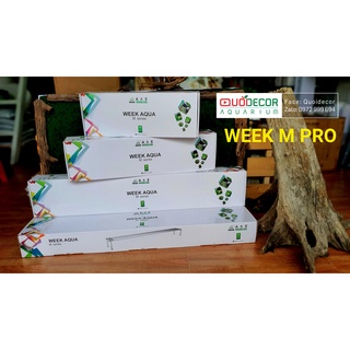 Đèn week m900d pro | week raptor pro m900 / m800 d pro | đèn thủy sinh week m pro wrgb uv có sẵn giá treo