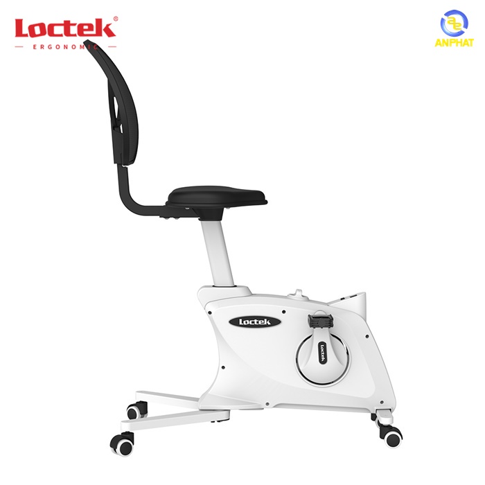 Ghế Xe Đạp Tập Thể Dục Điều Chỉnh Chiều Cao APC LOCTEK F211DBU Ergonomic