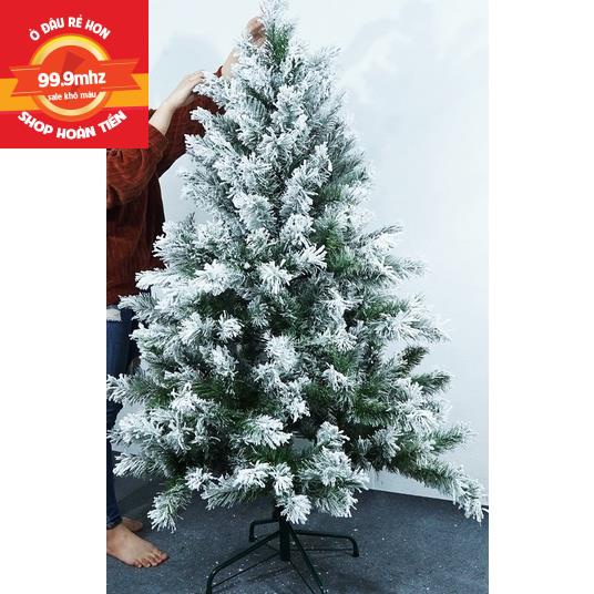 Cây Thông Noel Phủ Tuyết 90cm, 1m2, 1m5, 1m8, 2m1, 2m4, 3m Cây Thông Trang Trí Noel Giáng Sinh Hàng Việt Nam Cao Cấp