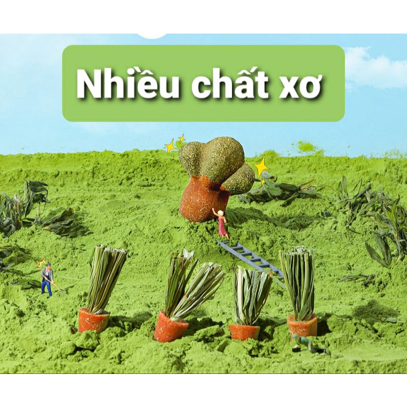 Carot đồ chơi gặm nhấm cho hamster,thỏ,guine pig...