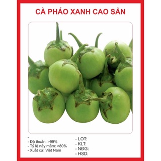 Hạt giống Cà Pháo Xanh 1gram hạt giống bốn mùa