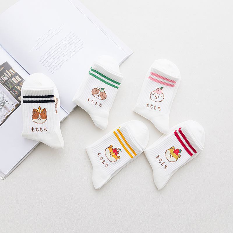 Set 5 đôi tất cổ cao Bivota vớ nữ trắng hàn quốc cún con đáng yêu T39