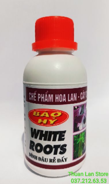 WHITE ROOT - Siêu Kích Rễ Báo Hỷ lọ 100ml