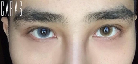 Lens Brilliant Brown