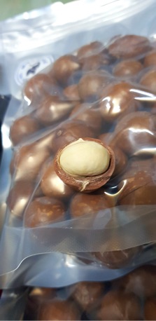 Mắc ca ĐakLak 0,5kg size lớn