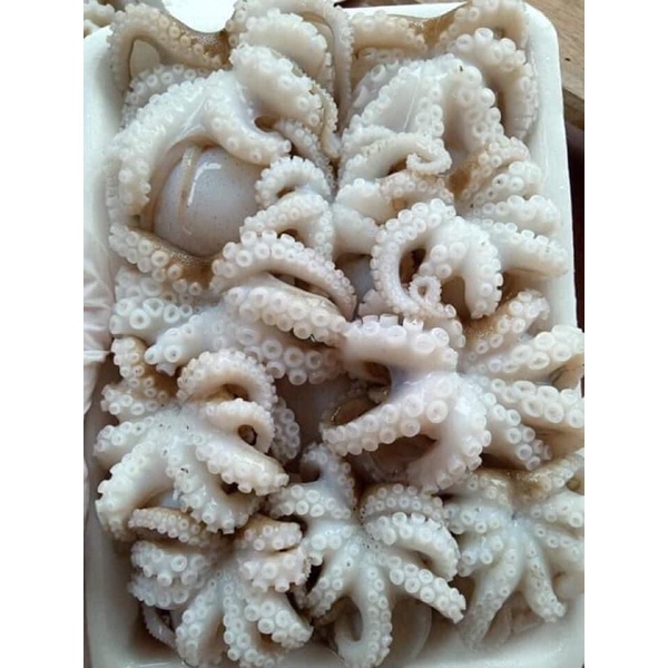 Bạch tuộc sữa 500gr