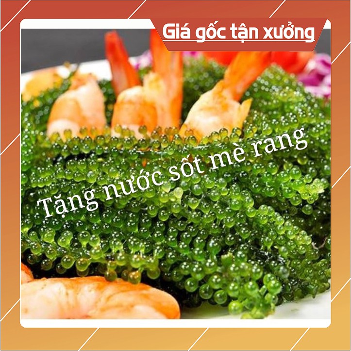 (Rong Nho + Sốt mè) 200gr Rong khô + 1 chai mè rang