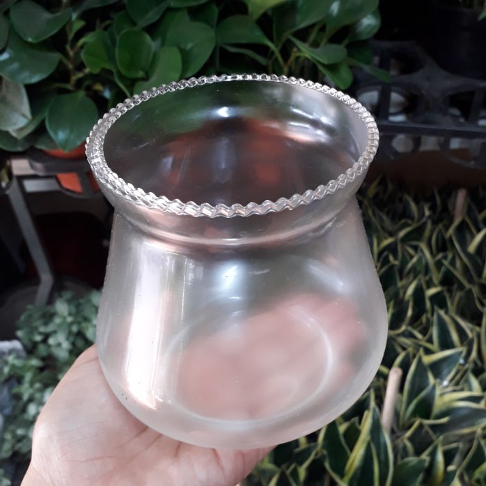 Chậu Thủy Tinh Đường Kính 9 cm