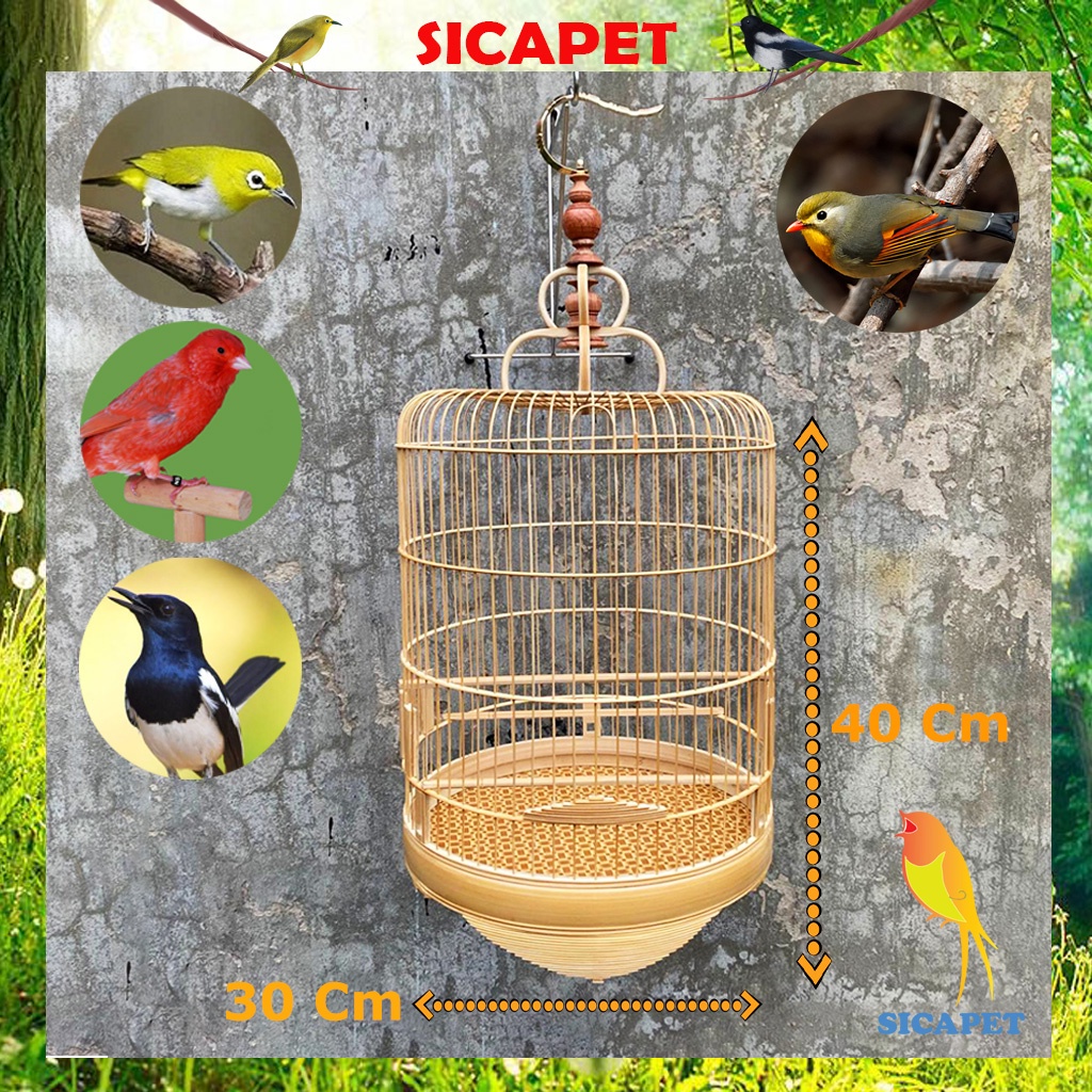 Lồng chim Khuyên, Chim Hoàng Yến, Chim Quế Lâm, Chim Chòe Than, Lồng nuôi chim Khuyên, Hoàng Yến, Quế Lâm SICAPET