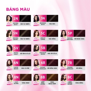 Thuốc Nhuộm tóc thảo dược phủ bạc- Bigen Silk Touch
