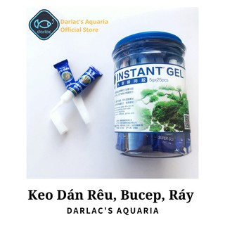 Keo Dán Rêu – INSTANT GEL - Darlac's Aquaria