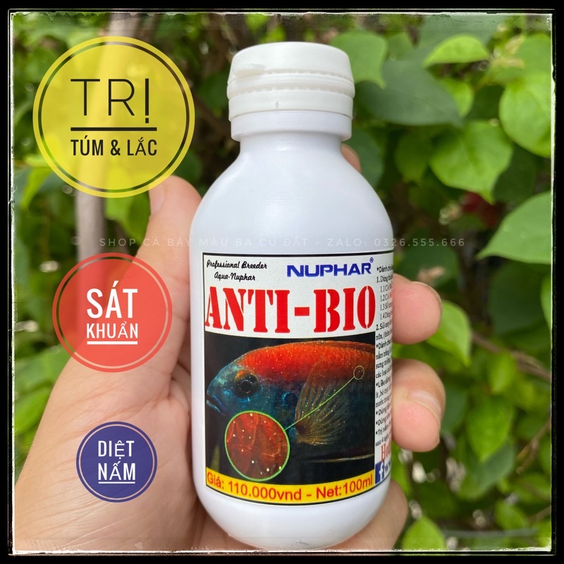 Thuốc trị TÚM  ANTIBIO