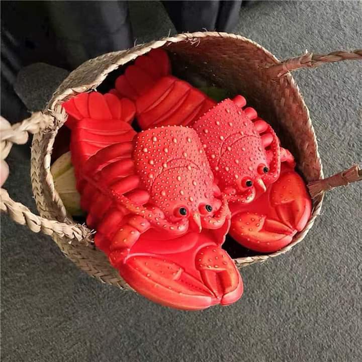 Dép tôm , cá hottrend 2020