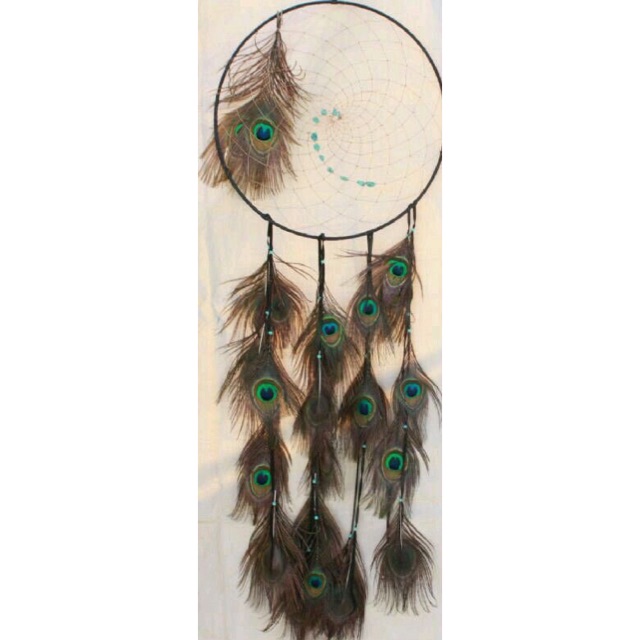 Dreamcatcher lông công