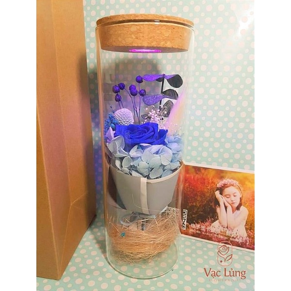 Bình hoa thủy tinh ướp vĩnh cửu mix đèn lấp lánh