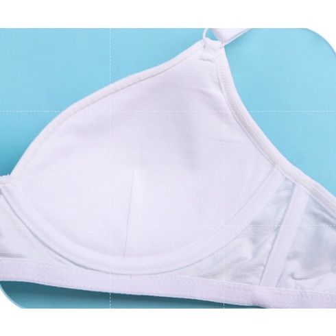 Bra / Áo Ngực Cotton Hình Mèo Nữ Sinh Xuất Đông Âu ( AL203 ). | WebRaoVat - webraovat.net.vn