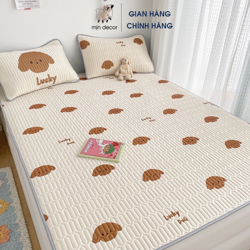 [Mã LIFEMALL2505 giảm 10% đơn 250K] Chiếu cao su non 2D điều hòa Mịn Decor siêu mát lạnh kèm 2 vỏ gối (video ảnh thật)