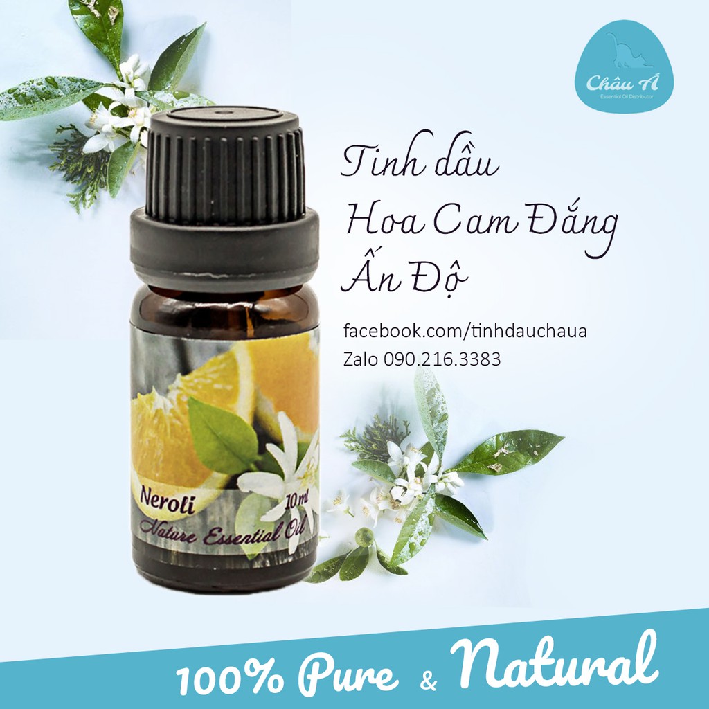 Tinh dầu hoa cam đắng Ấn Độ - Neroli - 10ml | BigBuy360 - bigbuy360.vn