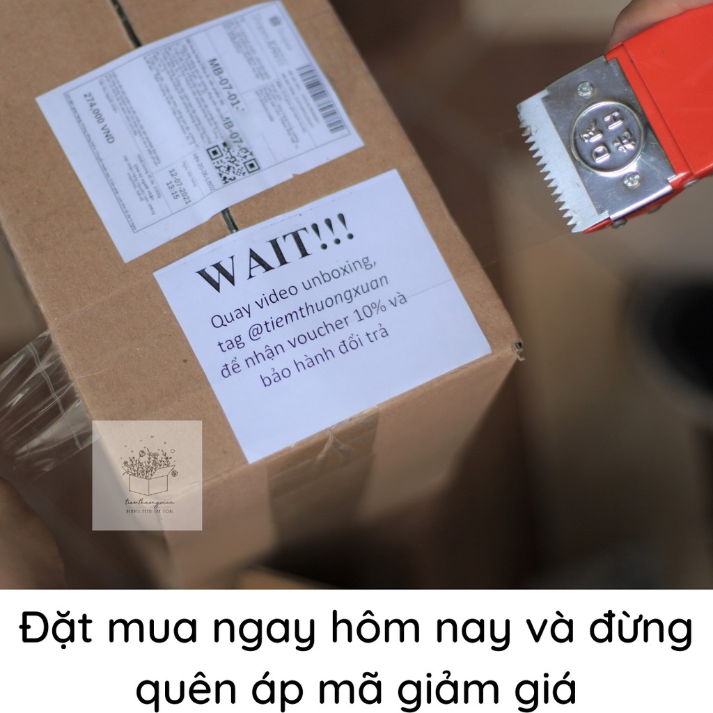 COMBO 3 CHẬU SỨ ĐỦ MÀU TRÁNG MEN - CHẬU ĐẠI - CHẬU TRUNG - CHẬU MINI