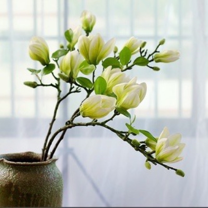 cành hoa Ngọc Lan 4 bông - hoa cao cấp