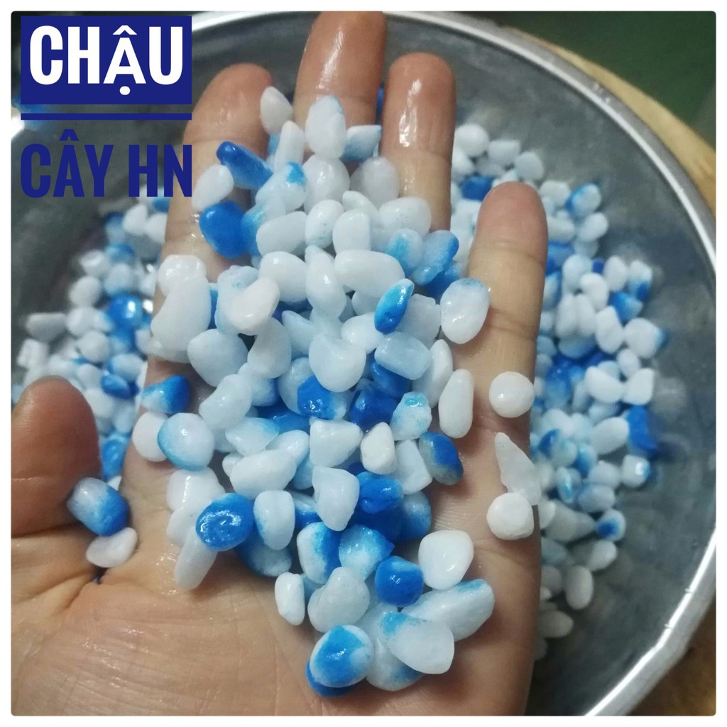 Sỏi xanh trắng rải tráng trí chậu cây, vườn hoa KT 0.9-1 cm gói 200gr