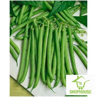 shophouse 15gr hạt giống đậu cove leo quả tròn  SHOP HOUSE  TẾT KHUYẾN MẠI