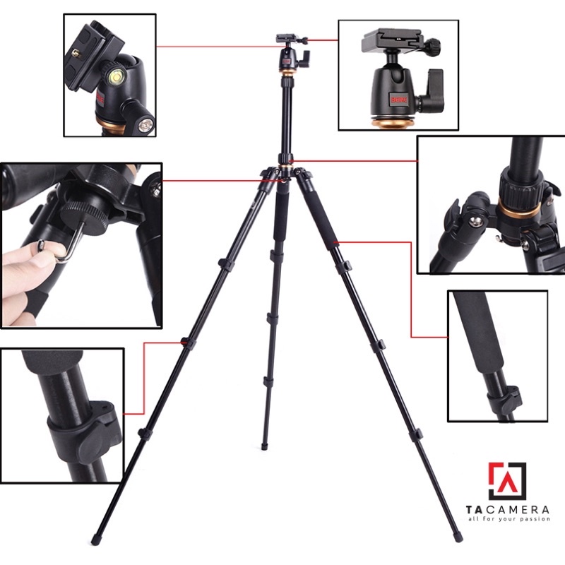 Chân máy ảnh - Tripod & Monopod 2in1 Beike Q555