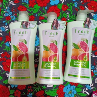 Dầu gội fresh tinh dầu bưởi (650g) mẫu mới