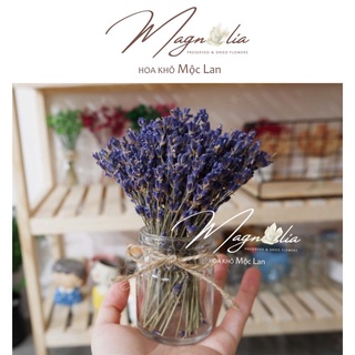 Hoa khô Lavender mini ❤️FREESHIP❤️ Tặng kèm lọ, hoa khô phong cách Bắc Âu retro, chụp ảnh sản phẩm, quà tặng sinh nhật