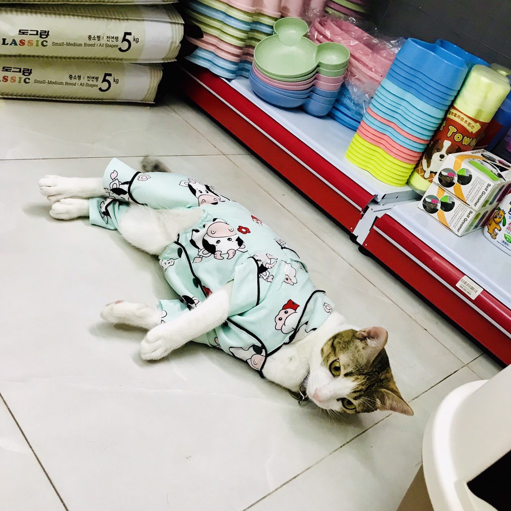 ÁO CHÓ MÈO - BỘ PIJAMA 4 CHÂN DỄ THƯƠNG