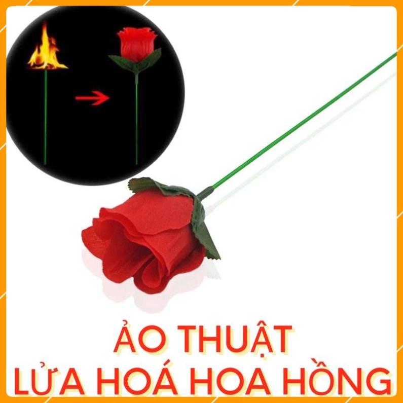 FREE SHIP Ảo Thuật | Torch To Rose - Lửa hoá hoa hồng HÀNG CÓ SẴN