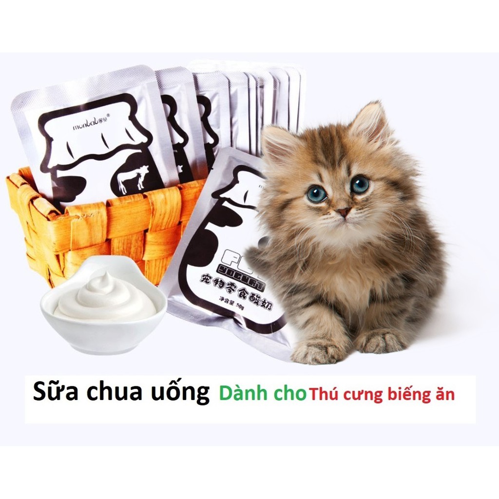 2 loại sữa chua &amp; sữa bột cho chó mèo uống