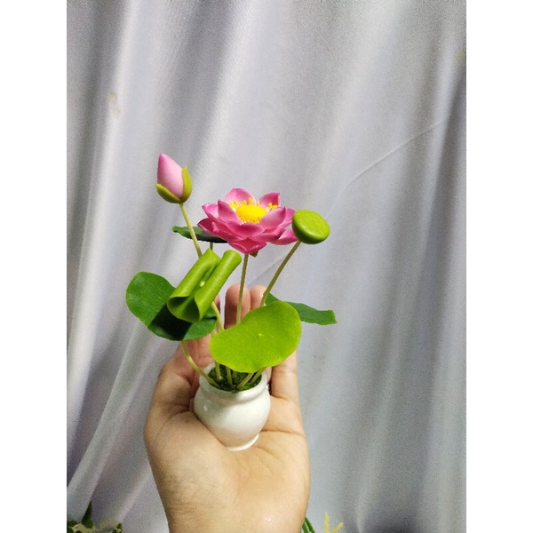Combo 3 chậu hoa mini cao 14cm đến 15cm