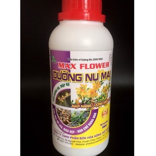 phân bón dưỡng nụ mai vàng (tết đến rồi,chuẩn bị mai để chơi tết thôi)