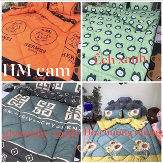 Combo ga giường đủ bộ 5 món chăn phao