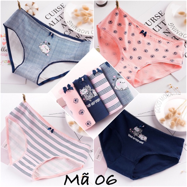 HỘP 04 QUẦN LÓT COTTON CHẤT ĐẸP (QL0024) | BigBuy360 - bigbuy360.vn