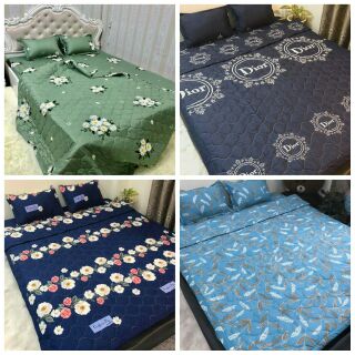 Set chăn ga gối poly cotton ( chăn chần )