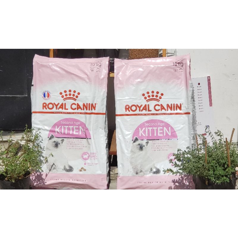 Hạt ❤ Royal Canin ❤ Kitten cho mèo con 1kg