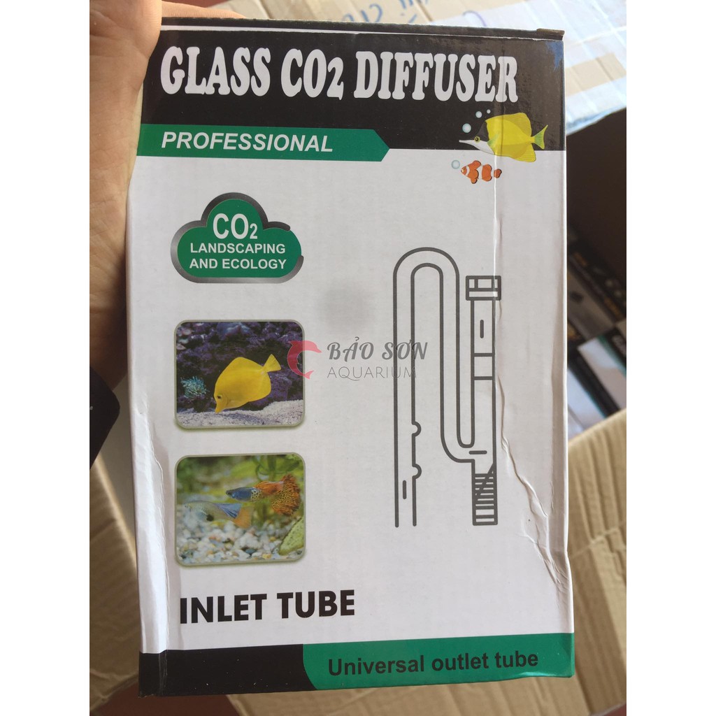 Bộ inout thủy tinh F9-10 cho bể Nano, Shallow Tank | In-out cho lọc thùng ngoài