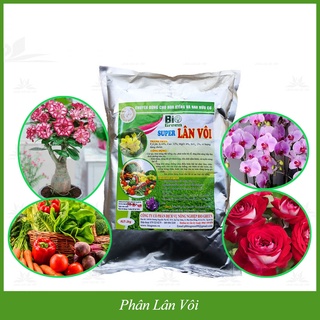 Bio Green Super Lân Vôi 2kg Phân lân vôi chuyên dùng cho hoa kiểng và Rau hữu cơ