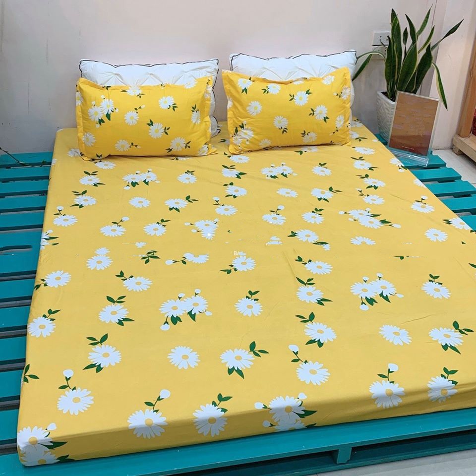 ] Bộ Ga Giường Cotton 3D Mịn Decor - Drap Giường + 2 Vỏ Gối In 3D Ga Chun Mềm Mịn