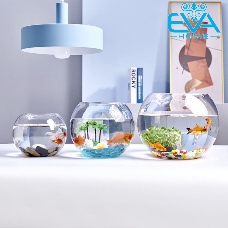 Chậu Thuỷ Tinh Dùng Làm Hồ Cá Bể Cá Để Bàn Dáng Tròn Bầu T02  Round Glass Aquarium Size 24 x 16 Cm