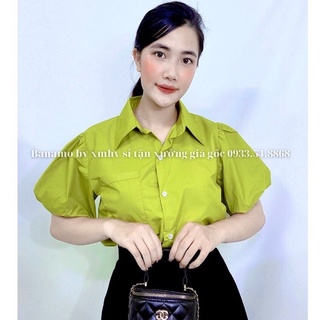 💚💚💚 áo sơmi tay bí bigsize💚💚💚