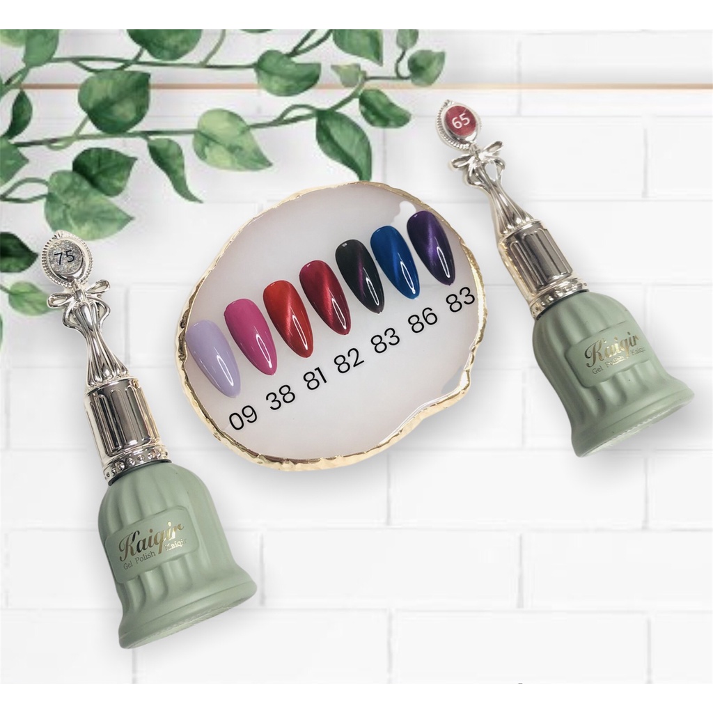 Sơn gel màu Kaiqir