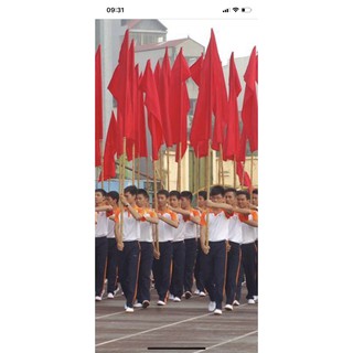 Cờ hồng kỳ 0,6x1,2m (Sỉ/buôn)