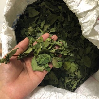 5KG LÁ THẠCH GĂNG XANH