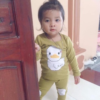 Compo bộ len