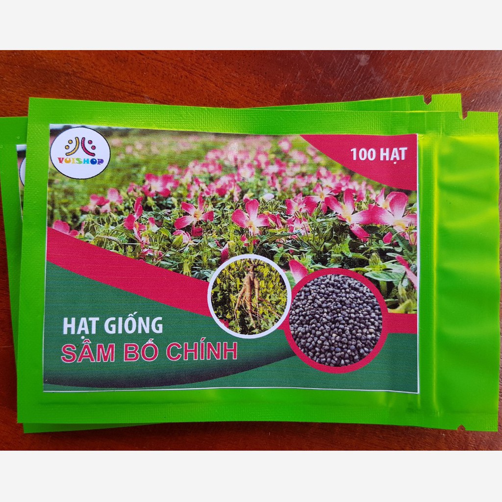 50 Hạt Giống Nhân Sâm Bố Chính Tỉ Lệ Nảy Mầm Cao