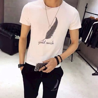 Bộ nam hình lông vũ